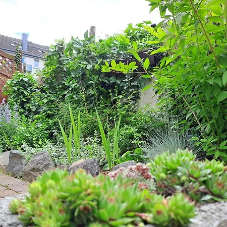 Gemuetliches Mit Garten I Parkplatz I 10 Min Zur Altstadt *